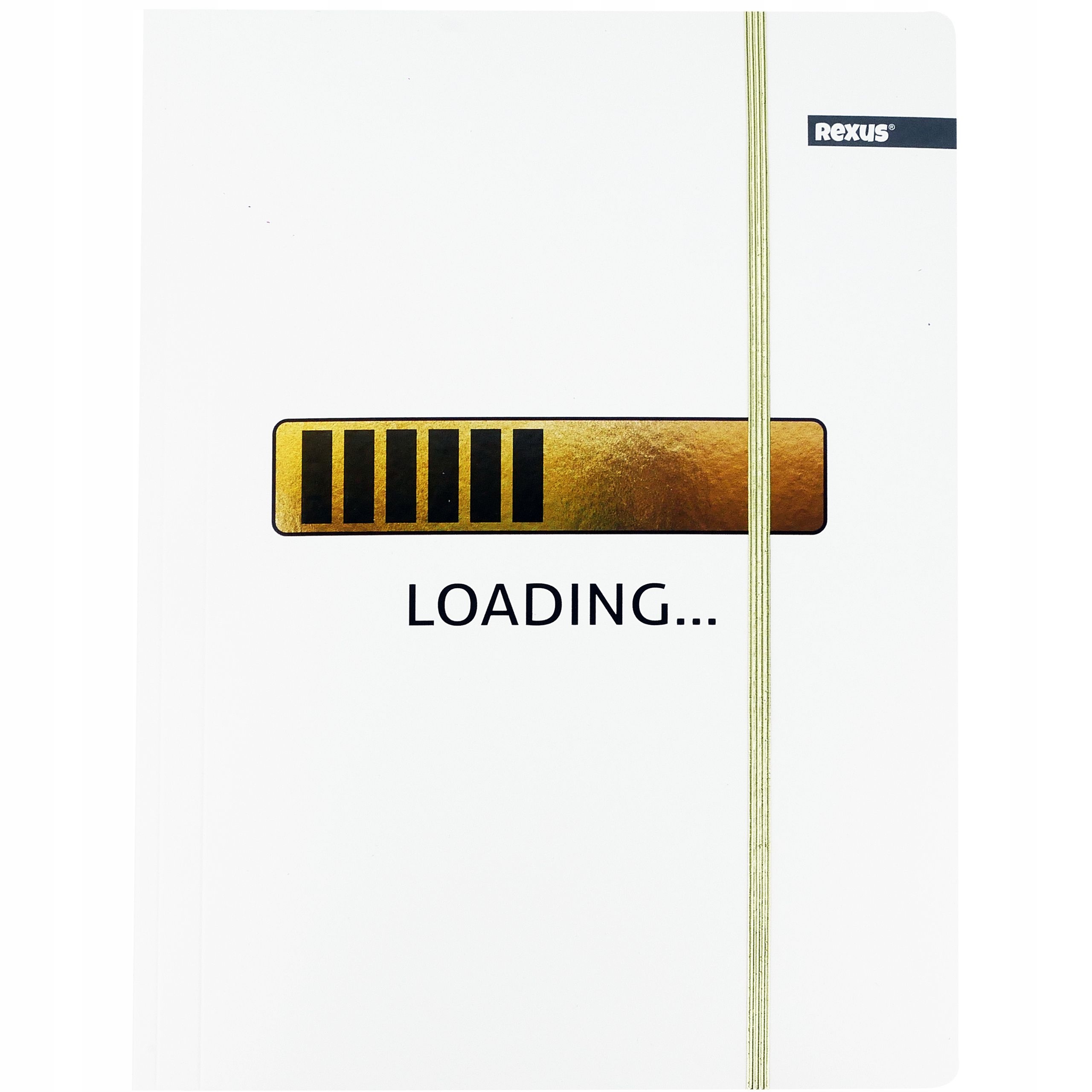 TECZKA SZKOLNA Z GUMKĄ FORMAT A4 REXUS METALICZNA Marka Beniamin