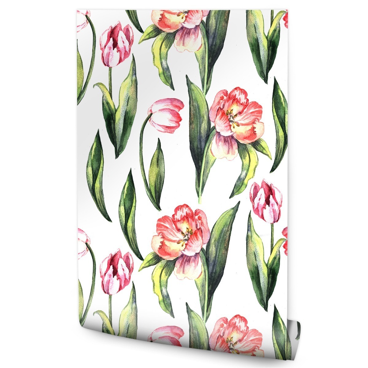 Tapeta do ložnice Tulipány Příroda Květiny Akvarel