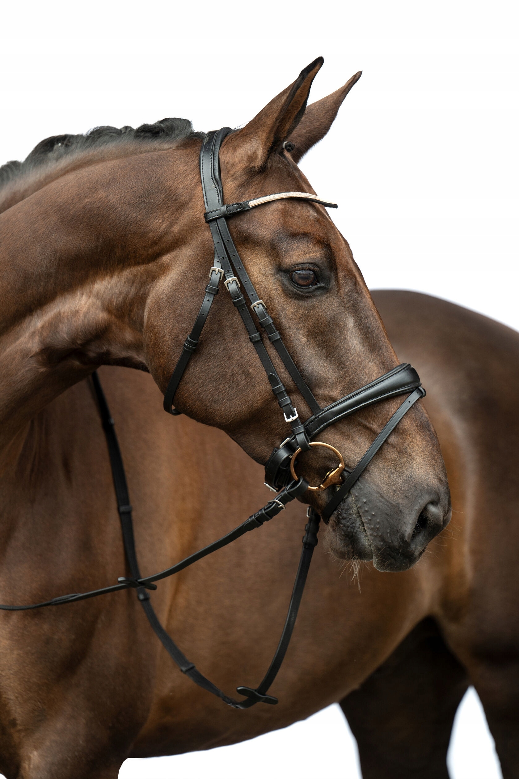 Hkm, Ogłowie ze szwedzkim nachrapnikiem Kopenhagen Cob czarny
