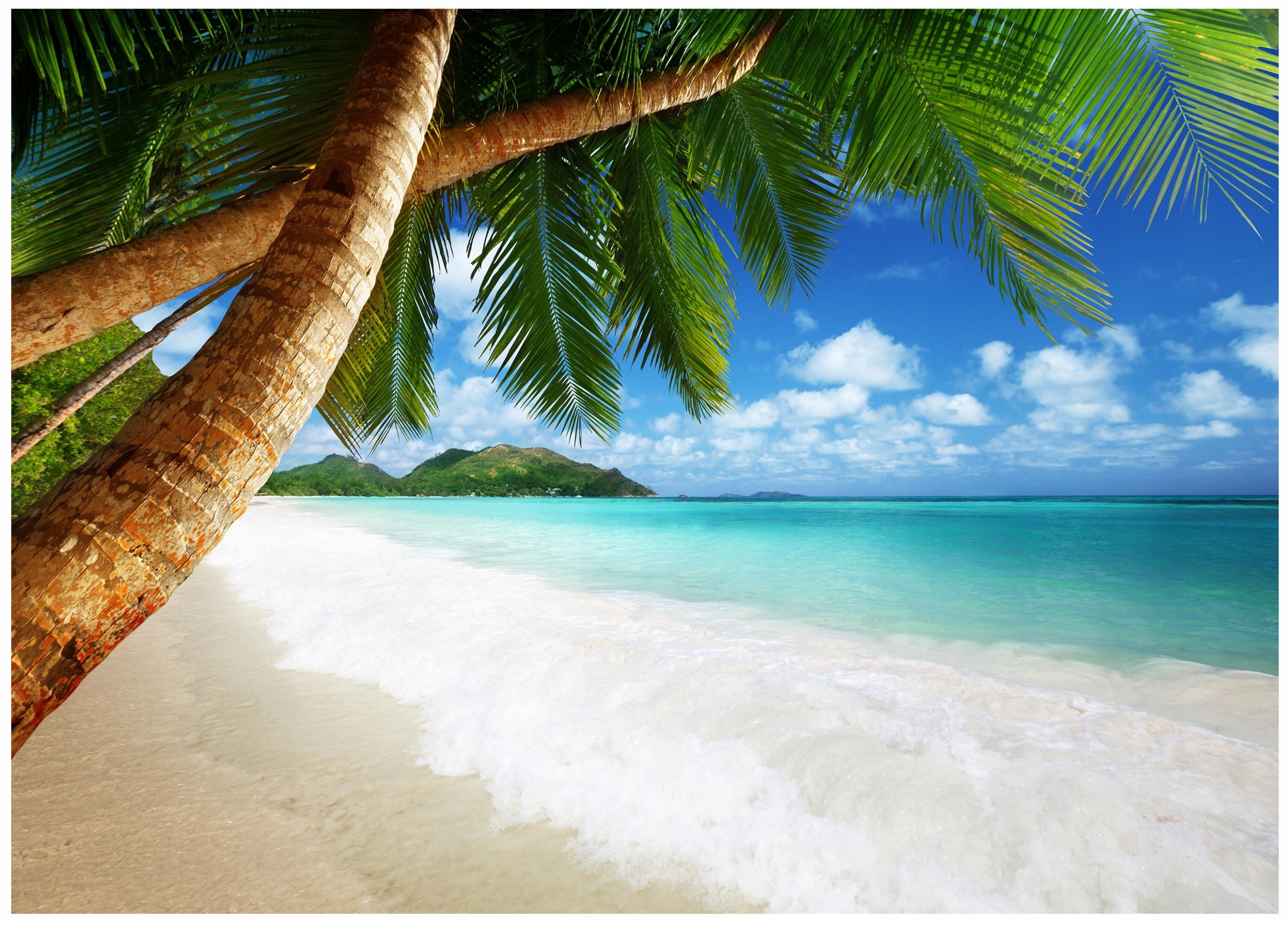 Fototapeta Pláž Moře Palmy Do Ložnice Obývacího Pokoje Tapeta Na Zeď 300x210