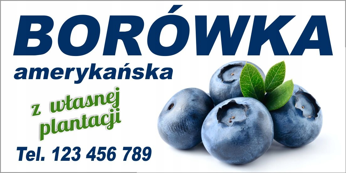 BANER BORÓWKI SPRZEDAŻ BORÓWEK 200X100