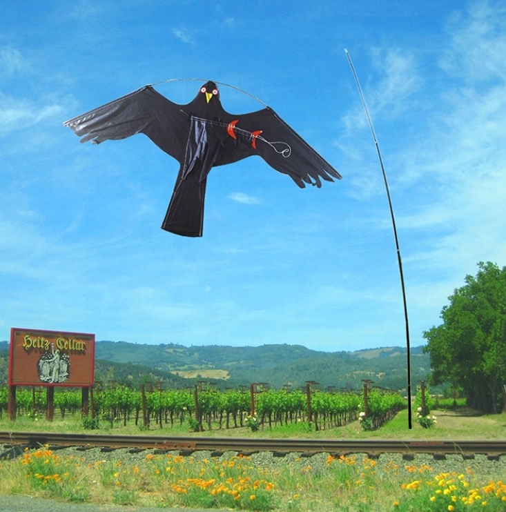 Profesjonalny Odstraszacz PTAKÓW sokół LATAWIEC Marka Leo