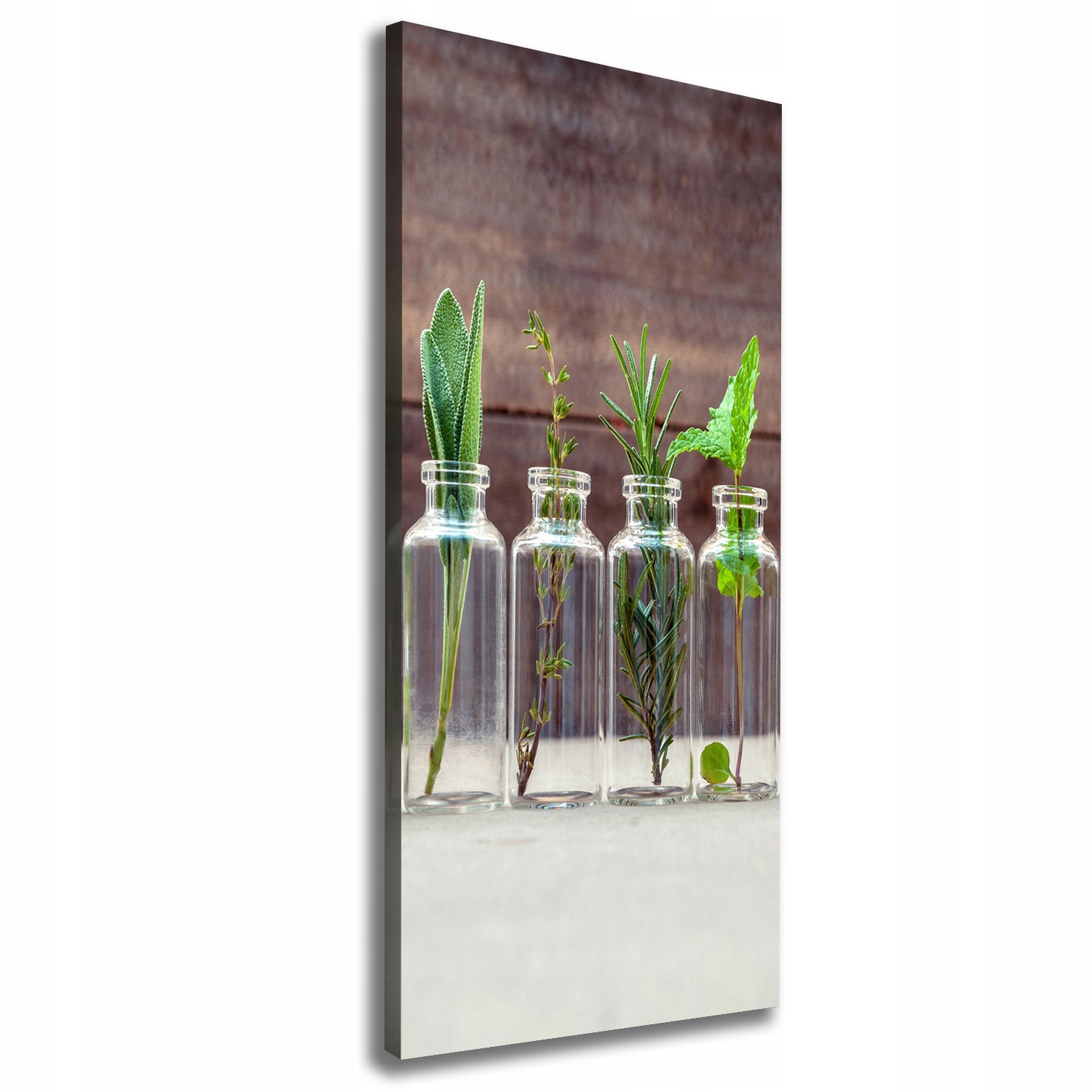

Foto obraz na płótnie Zioła w słoikach 50x125 cm