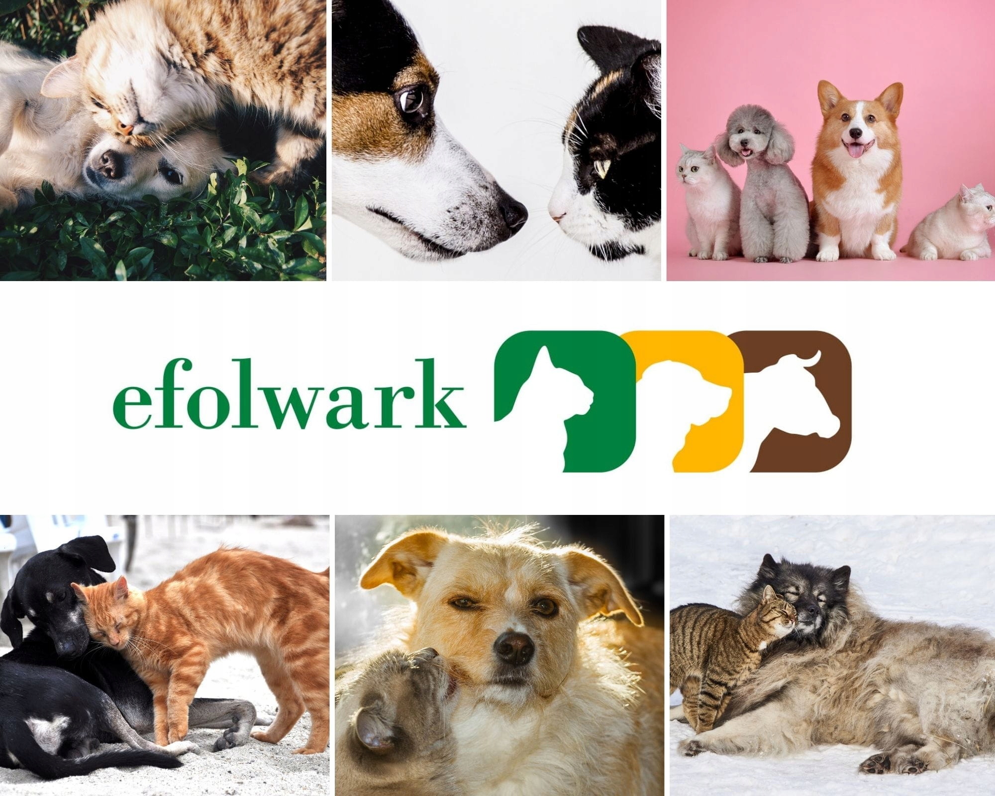 DR SEIDEL, MR. SMELL SOFA I DYWAN, 500 ml, ATOMIZER Marka Mr Smell