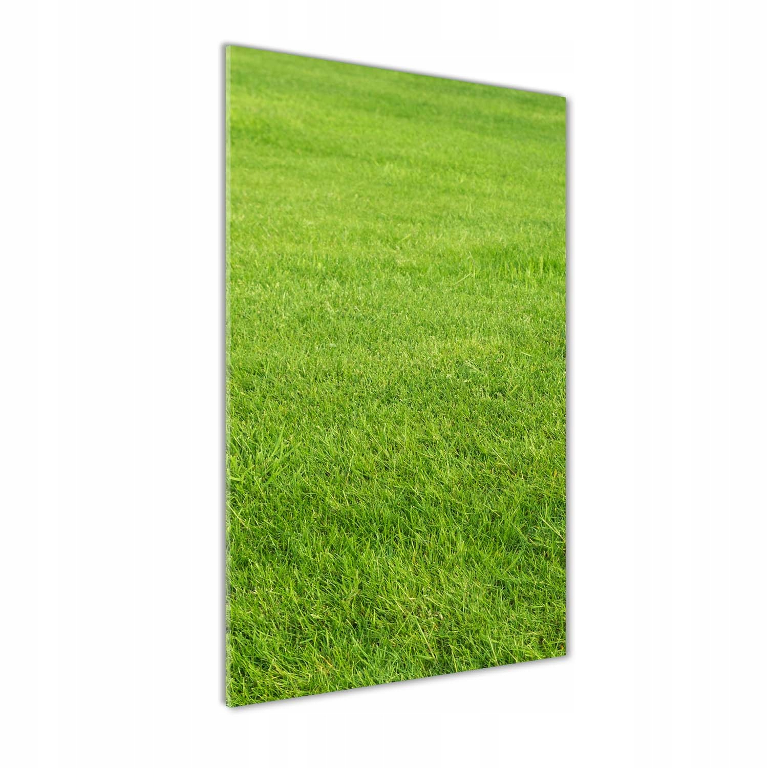 

Foto obraz akrylowy do salonu Zielona trawa 60x120