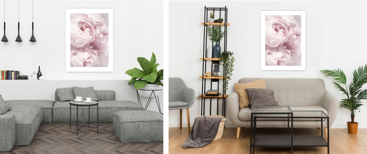 PIWONIE PEONIE KWIATY plakat 30x40 cm obraz #120 Szerokość produktu 30 cm