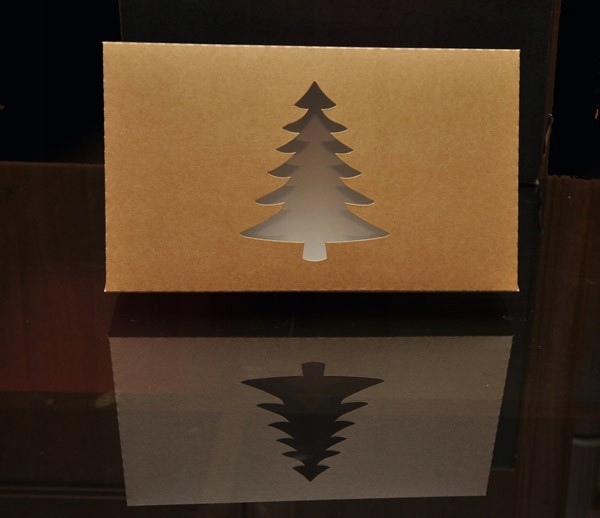 

Pudełko świąteczne 24x14x4cm (5szt) Eko