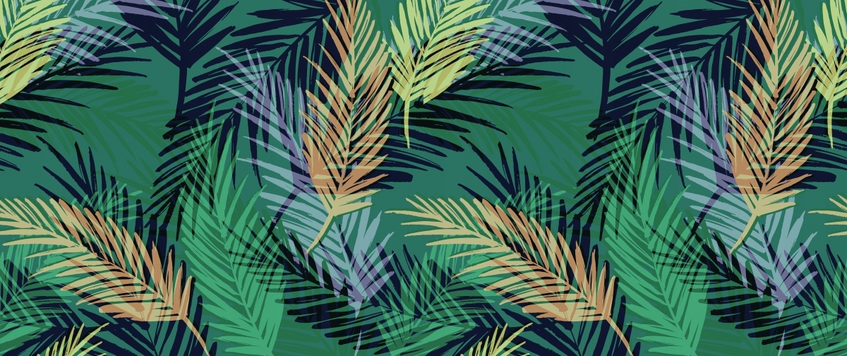 

Fototapeta Flizelinowa Liście palmowe 250x104