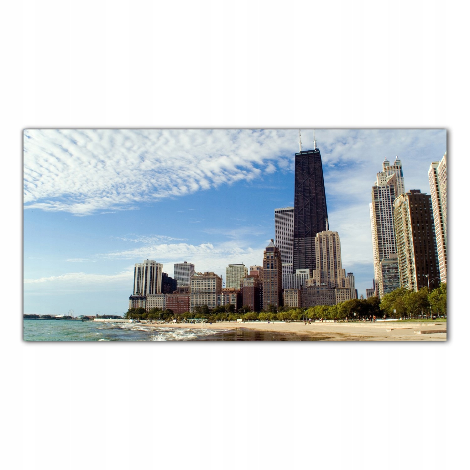 

Obraz na szkle Foto Chicago Drapacze Chmur 100x50