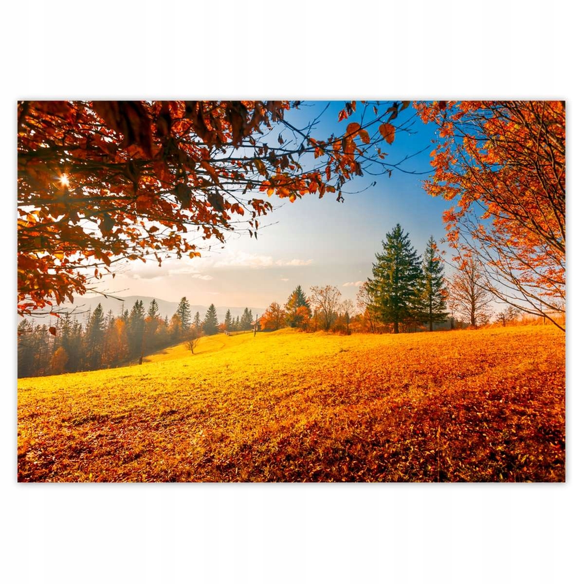 Fototapety 416x290 Jesenná krajina