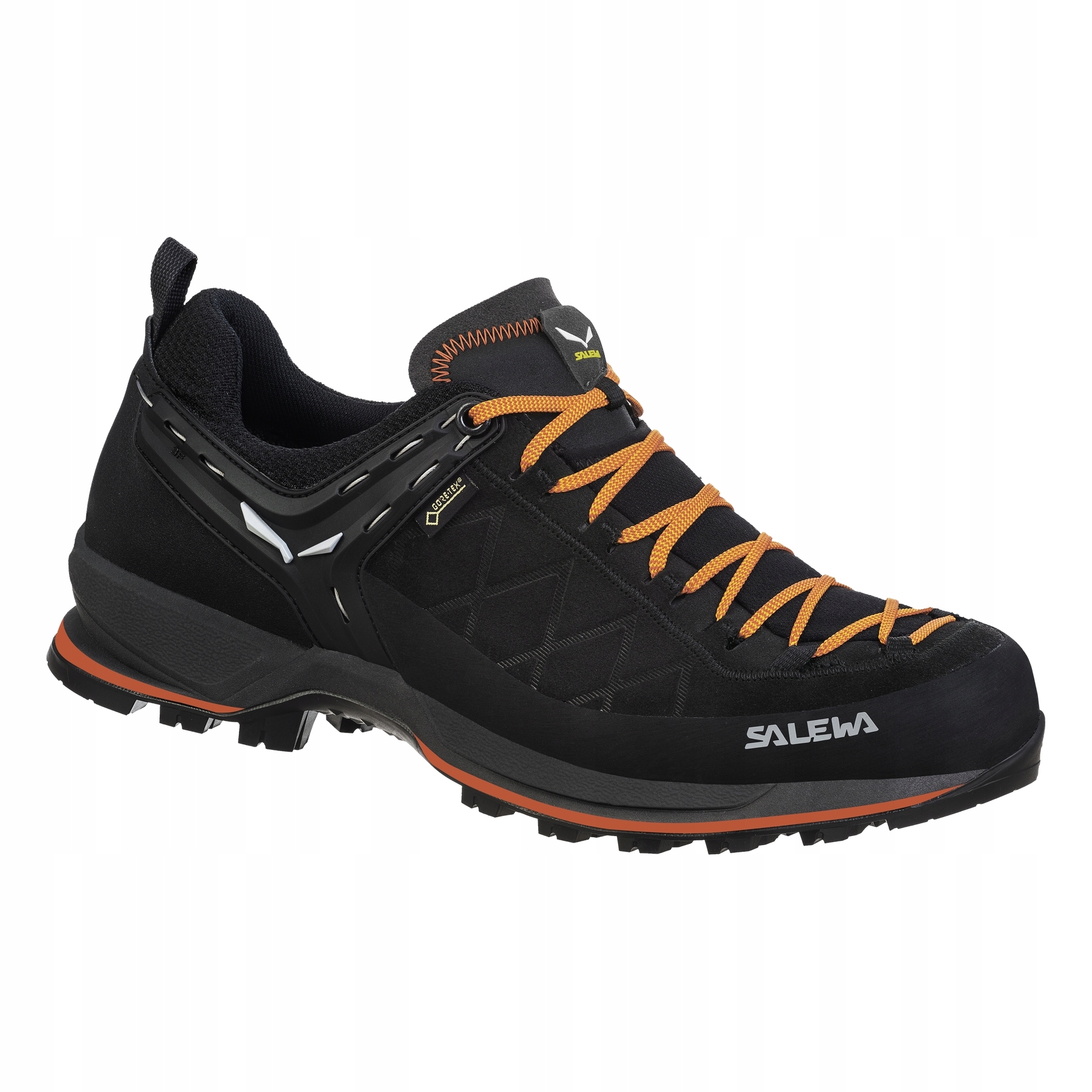 Pánské boty Salewa Mtn Trainer 2 Gtx černé 00-0000061356_0933 r 46.5