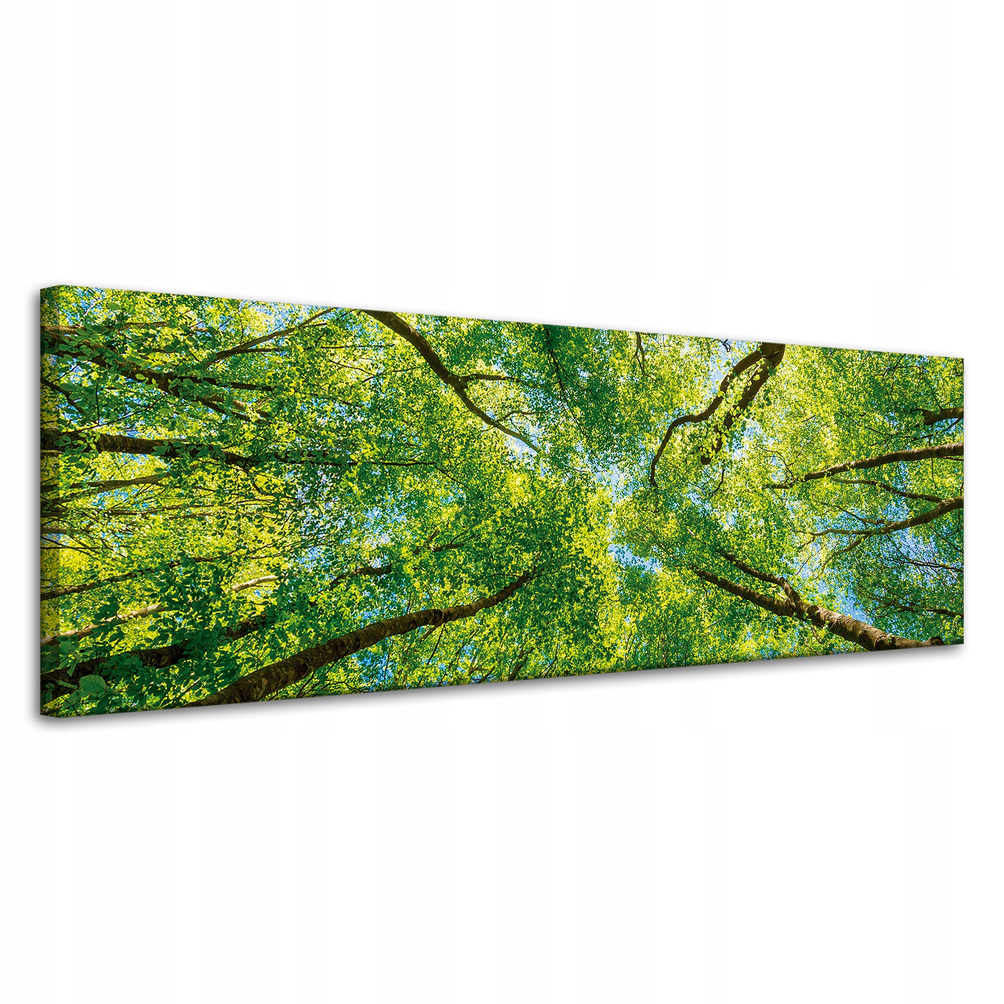 Obraz na plátně Stromy Listy Příroda Les Jaro 120x40 cm