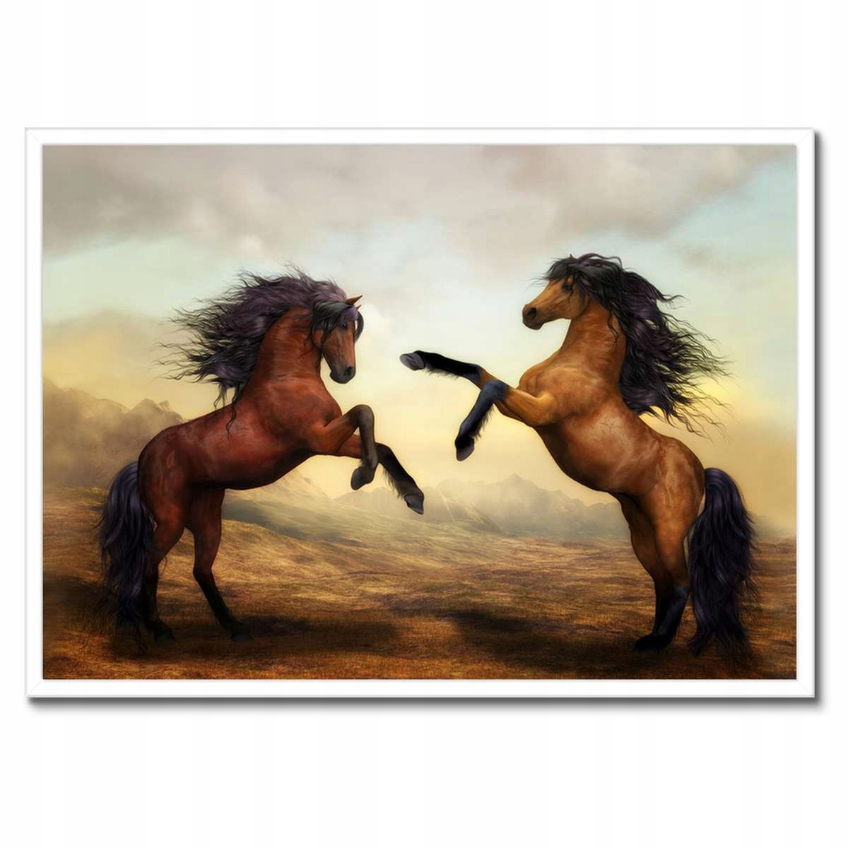 Plakáty v rámu 70x50 Dva koně