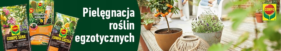 ZIEMIA DO BONSAI DRZEWKA FICUS FIKUS 5L COMPO SANA pH 5-6.5