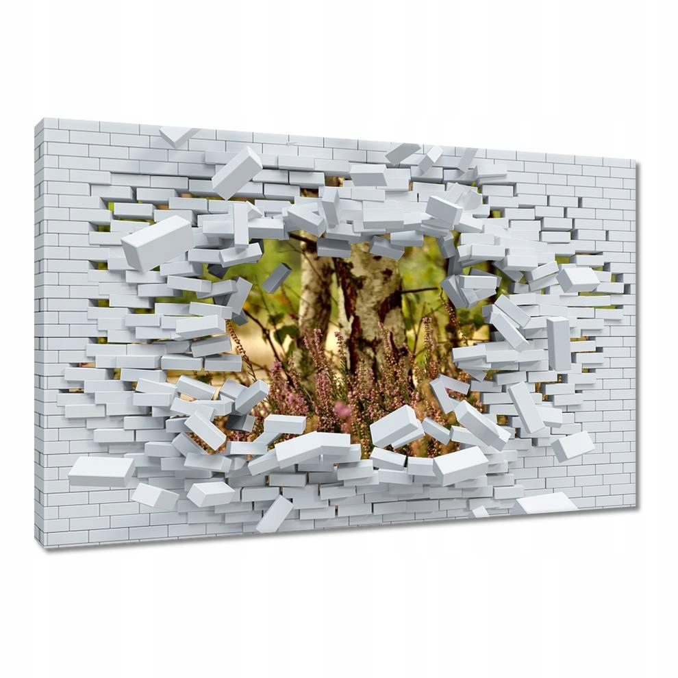 

Obrazy 60x40 Brzoza wśród wrzosów Las