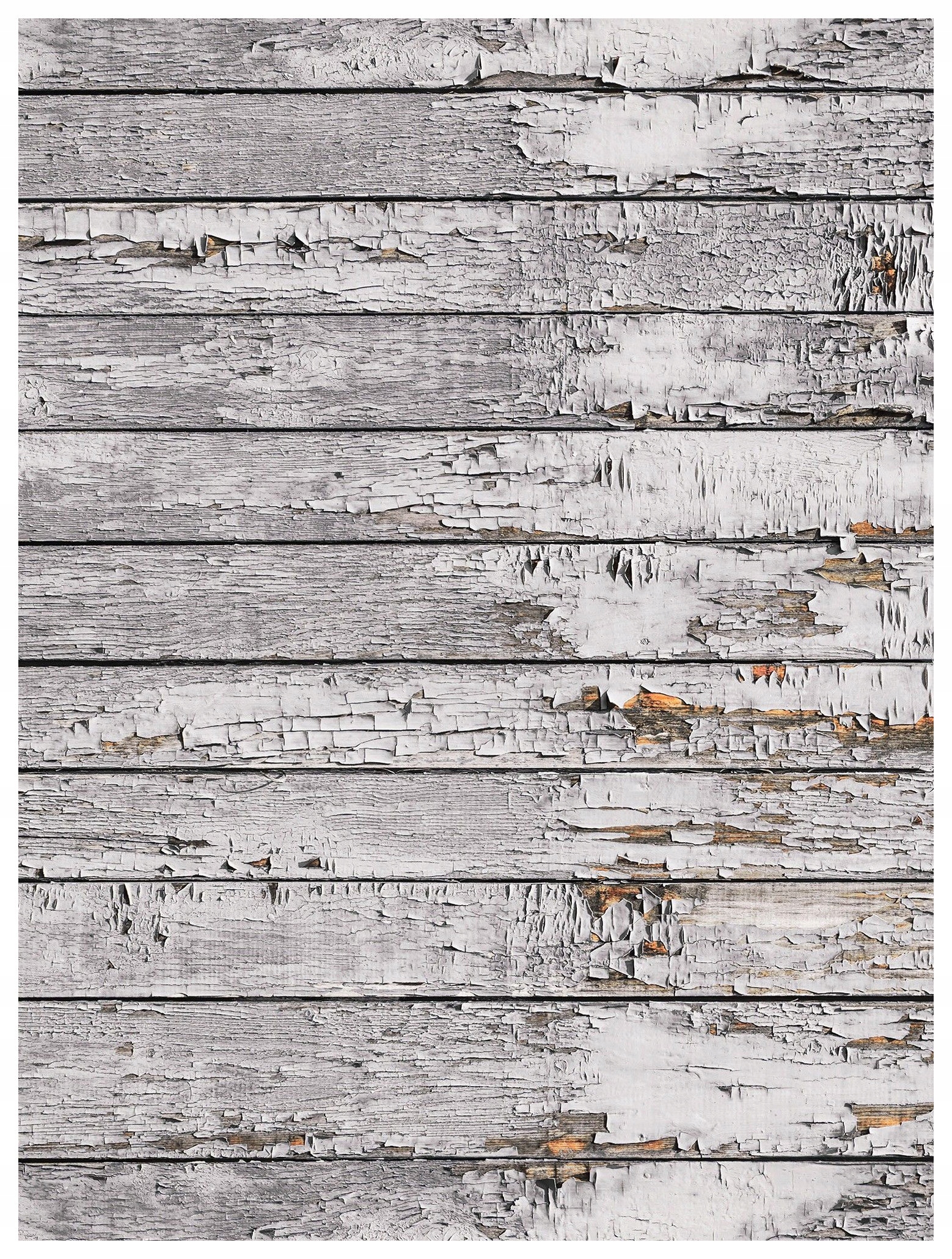 Fototapeta Strom Rustikální textura Bílo-šedá 206x275 linek lepidlo