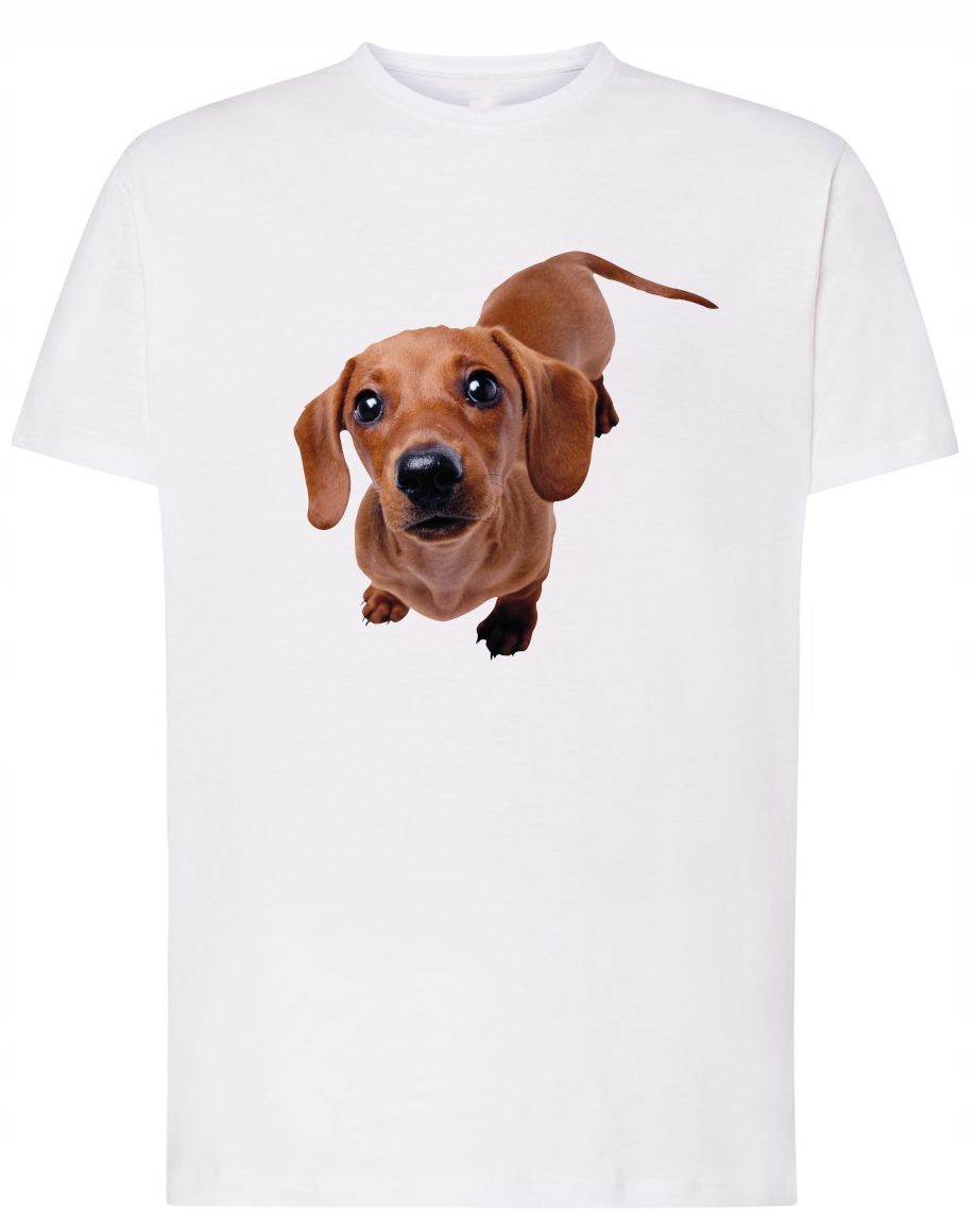 

T-Shirt męski nadruk Jamnik Pies r.S