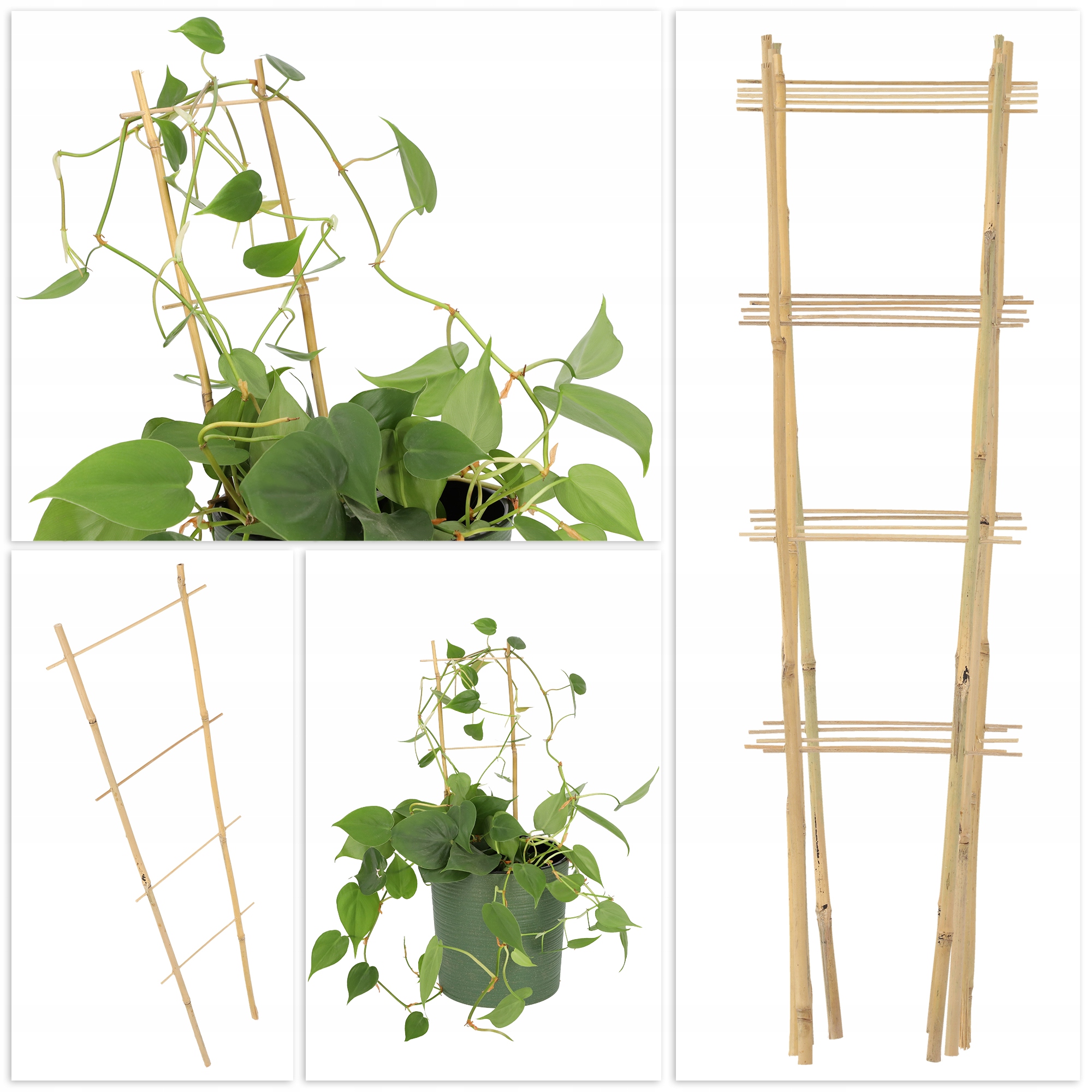 DRABINKA BAMBUSOWA PERGOLA PODPORA 60 CM 5 SZT Marka Kadax