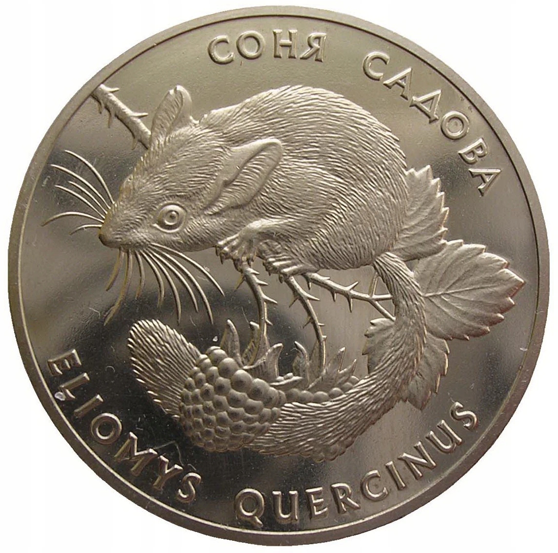 Ukraina 2 UAH Żołędnica 1999