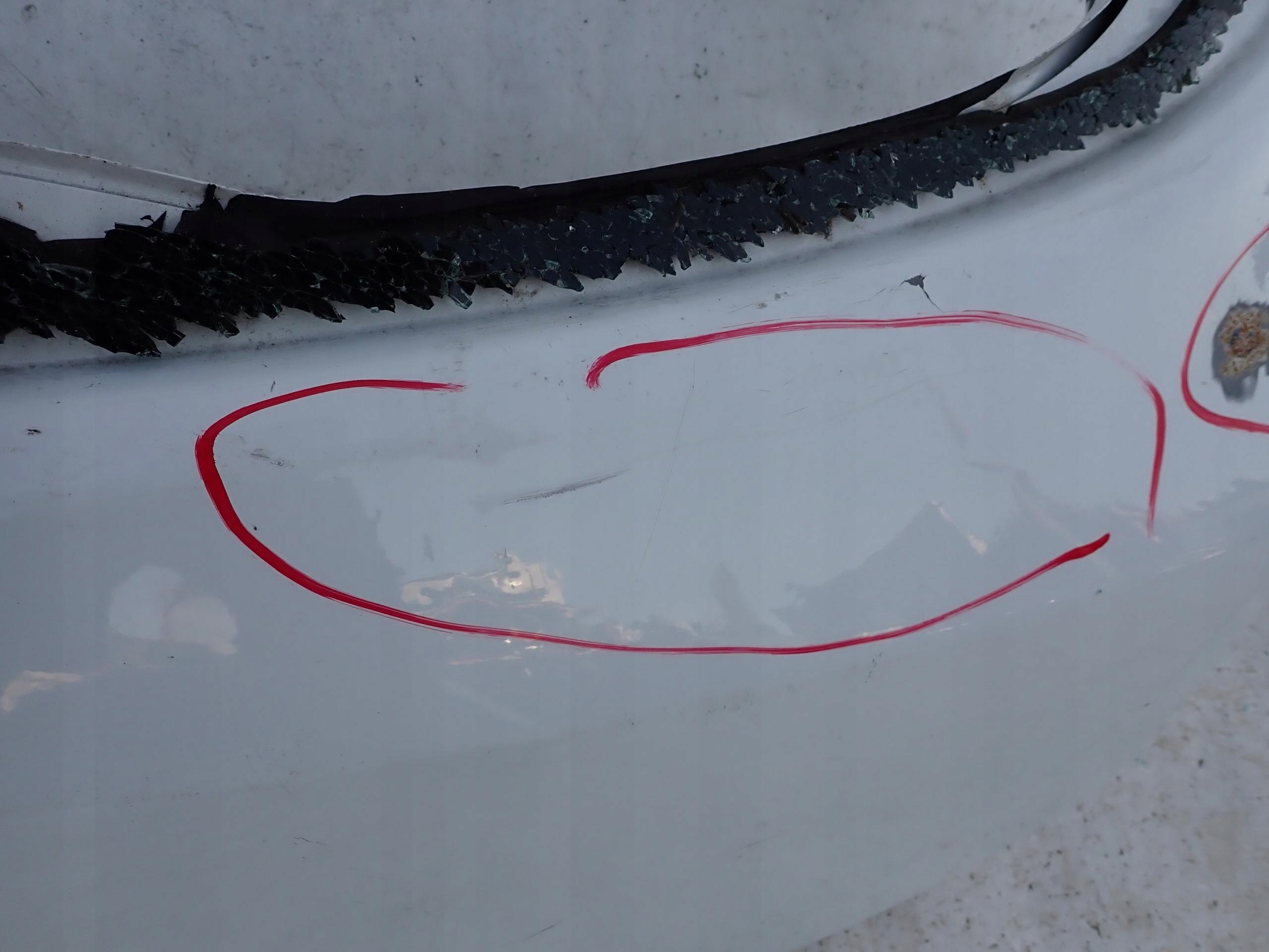 DACIA SANDERIO II 12- trunk door boot rear part rear