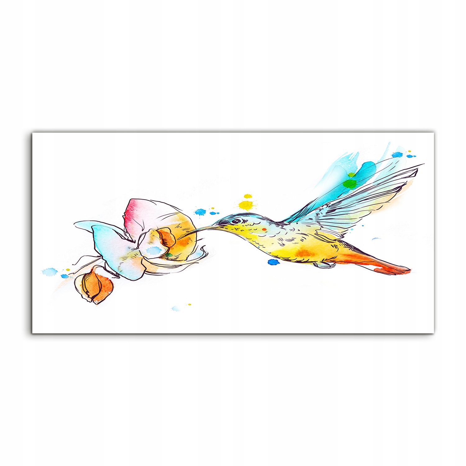 

Obraz akrylowy 120x60 ścienny Koliber Ptak Zwierzę