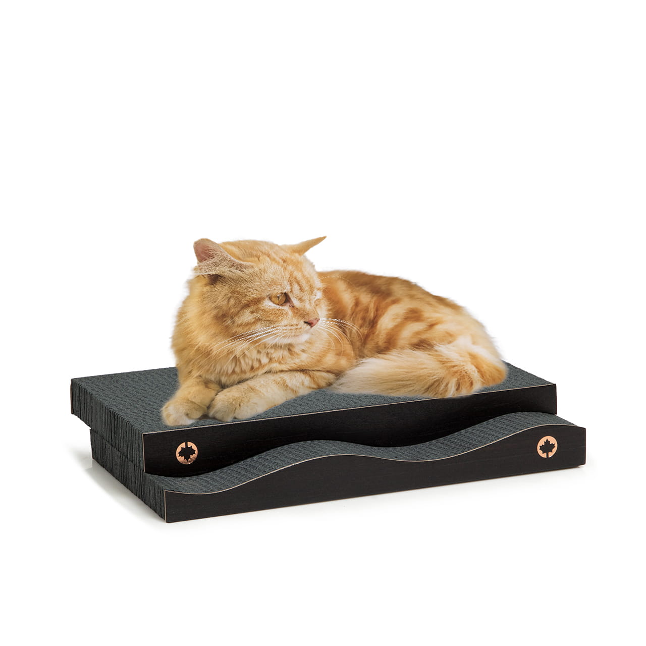 Levně Scratch 2 v 1 Škrabadlo pro kočky Canadian Cat Black Edition Černé
