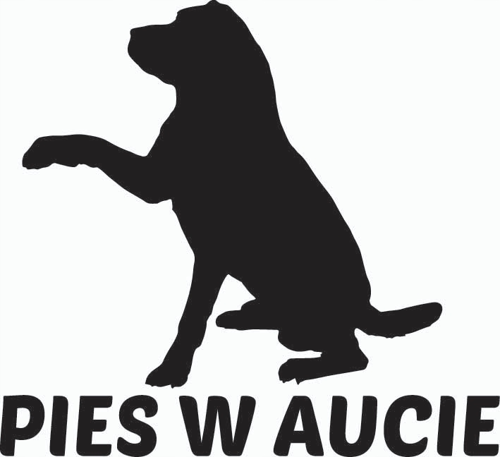 

Naklejka wlepka Pies W Aucie