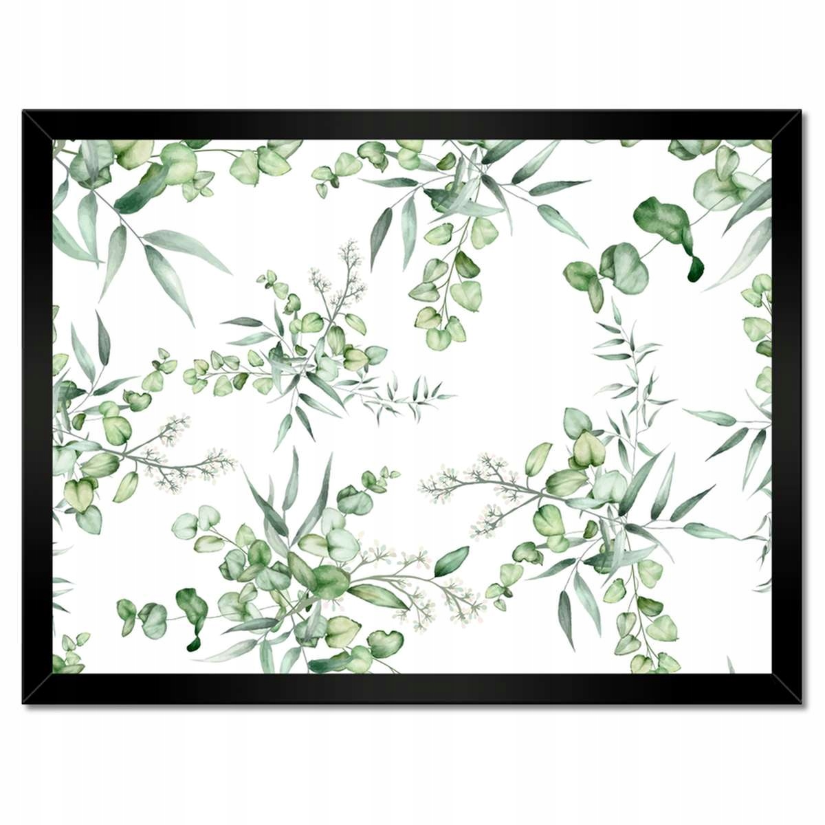 Plakáty v rámu 40x30 Eucalyptus Květinová květina