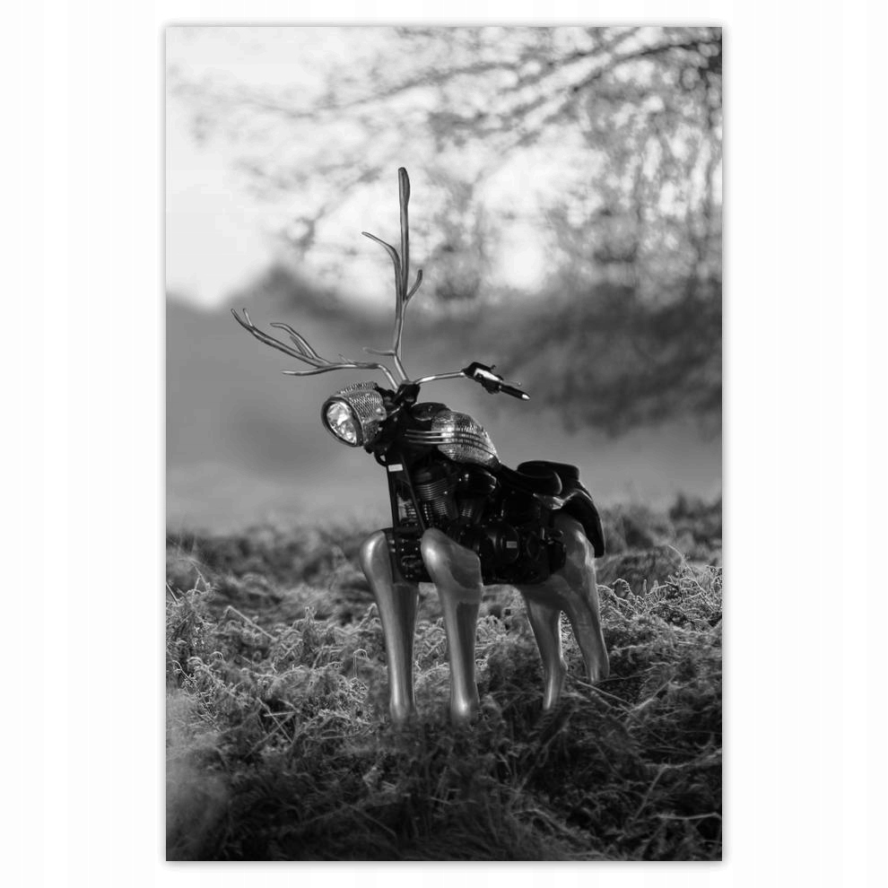 

Plakaty 40x60 Jeleń Sztuka nowoczesna