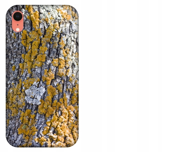 

Etui pokrowiec iPhone Xr Kora drzewa