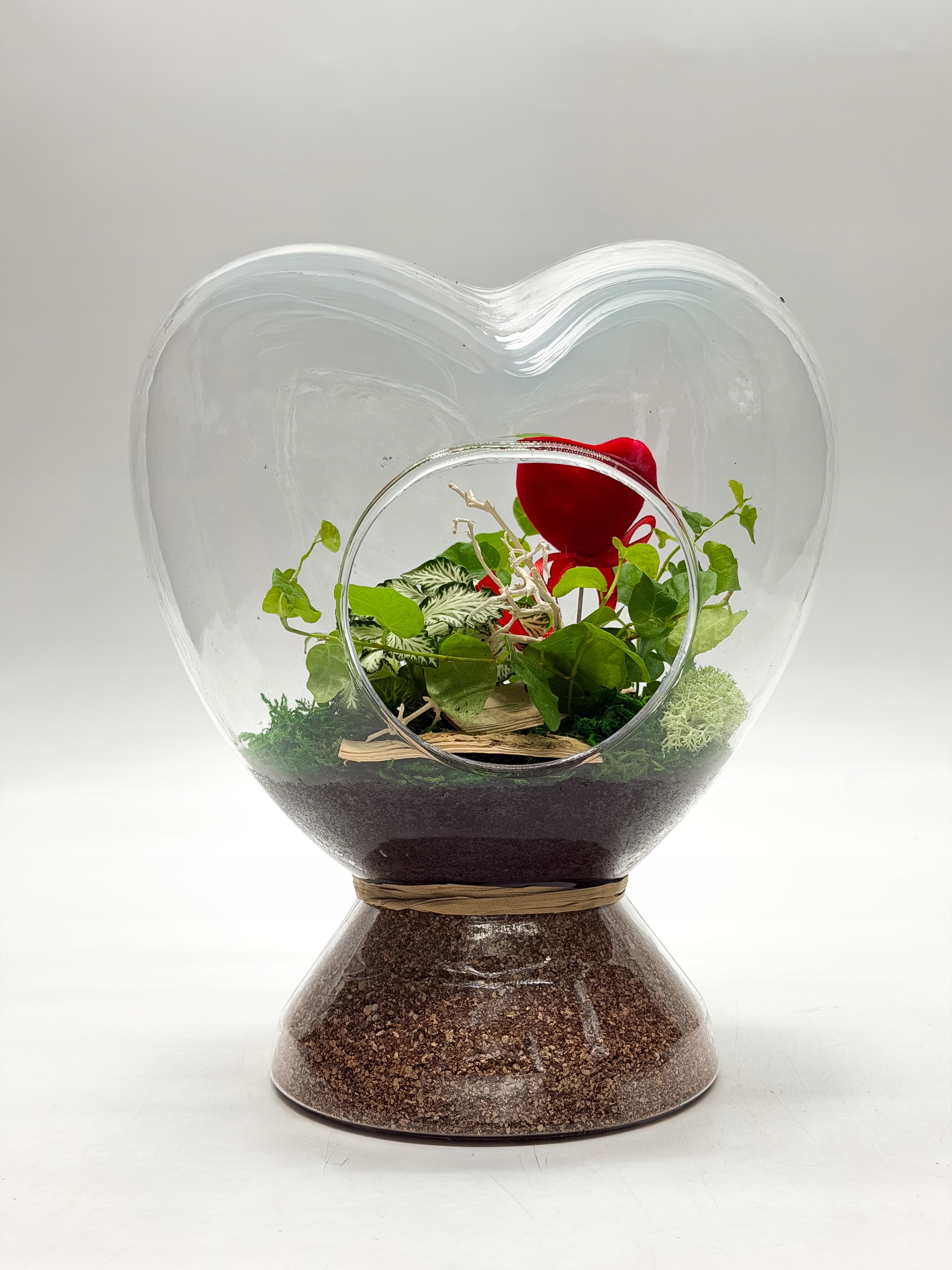 Les ve skle Srdce Živé rostliny Ficus Pumila Fittonia Dárek Dekorace domu