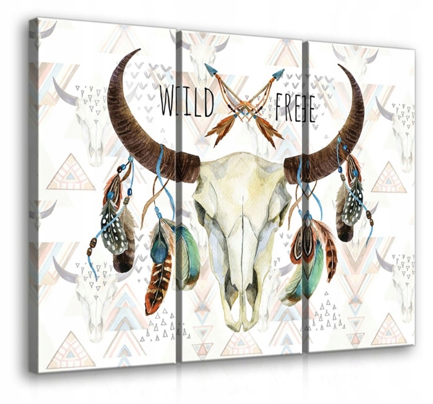 Obraz 90x80 Divoký Volný Etnický Boho Lebka Peří Šípy Příroda