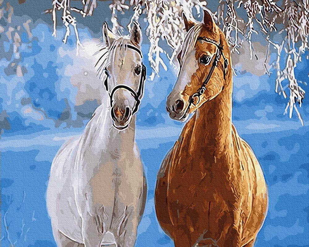 Malování podle čísel iPicasso 50x65 cm na rámu