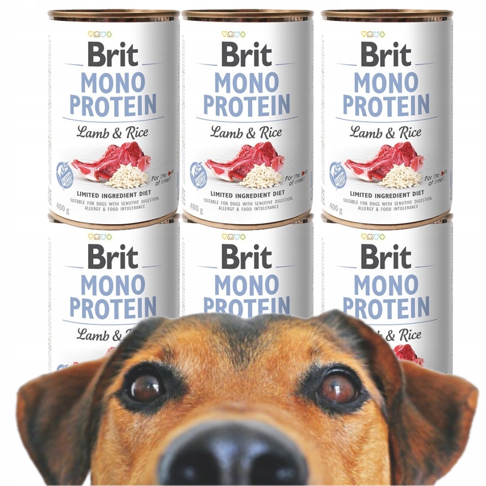 Levně Brit Vlhké Krmivo Care Mono Protein Lamb with Rice 6 Ks ks *400g