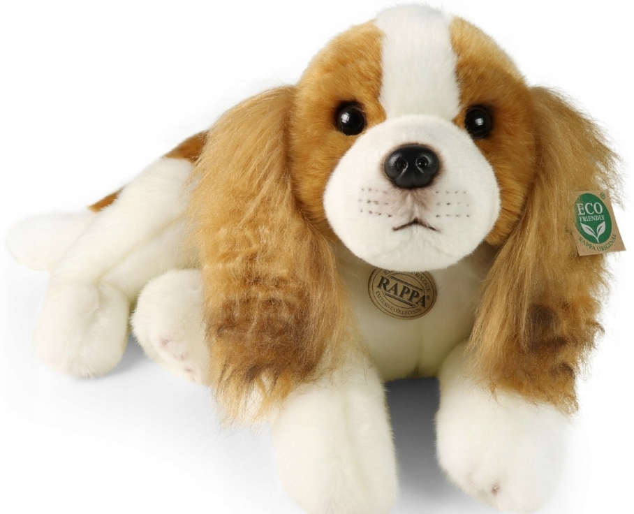 Rappa 242944 Maskotka Pies Cavalier 40 cm