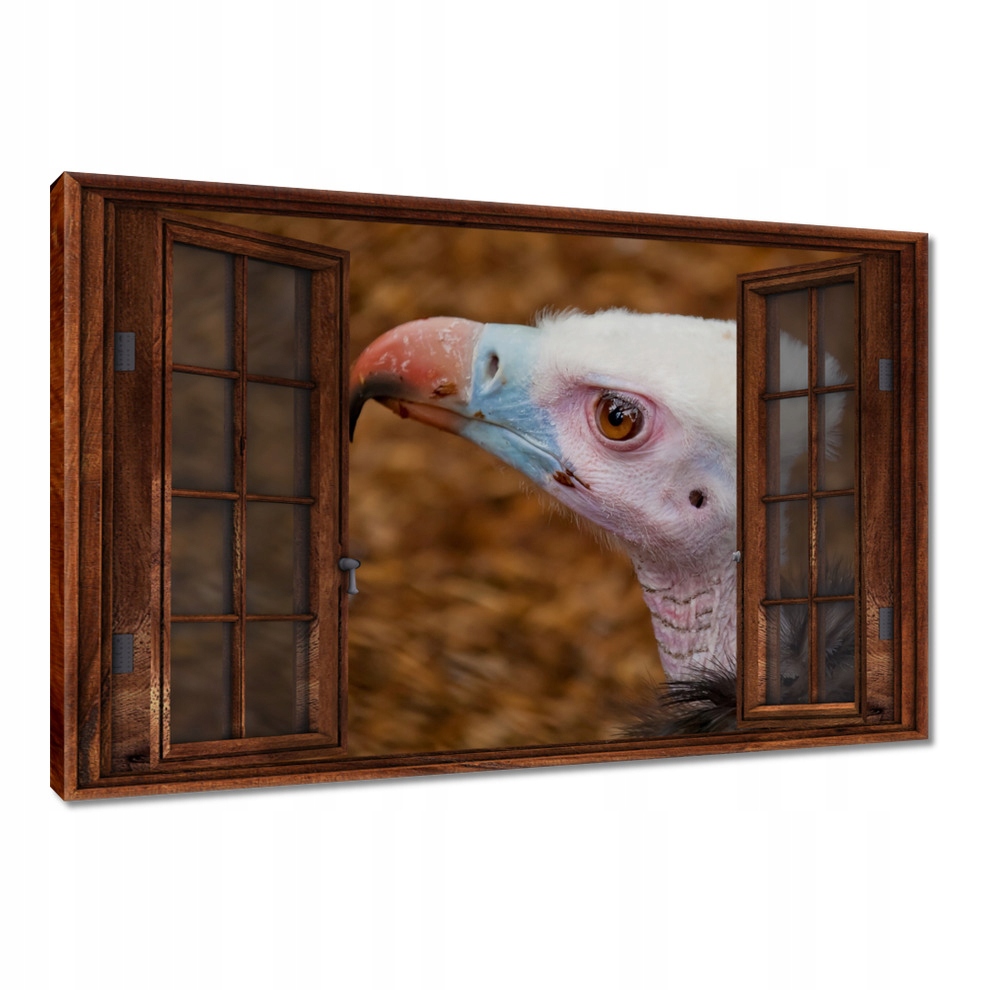

Obrazy 120x80 Sęp