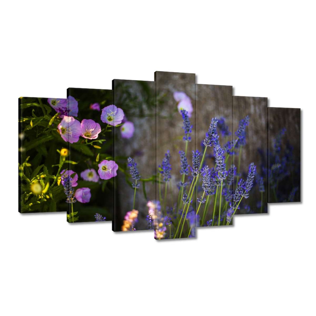 Obrazy 140x80 Levandule