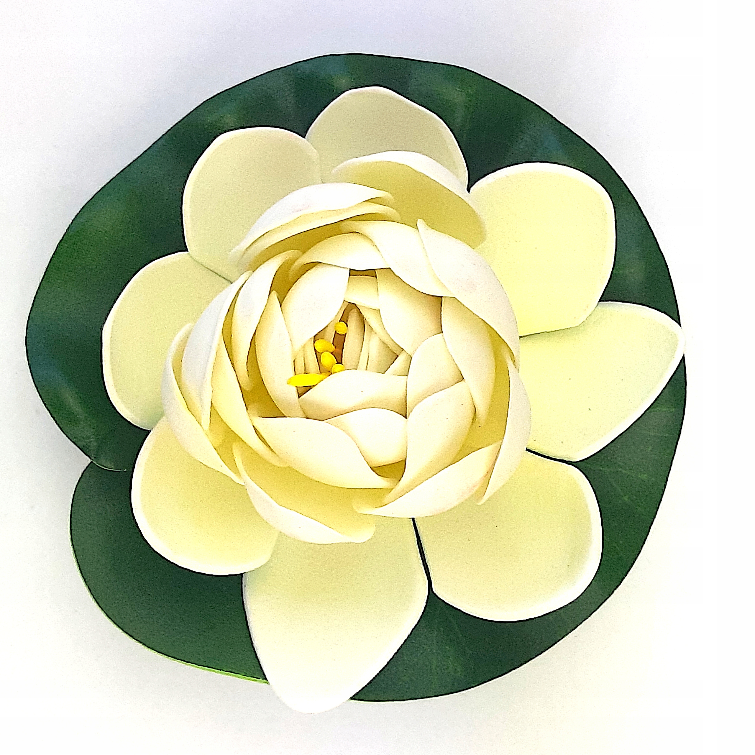 Lilia wodna pływająca biała 11 cm alabaster Kod producenta LA11W