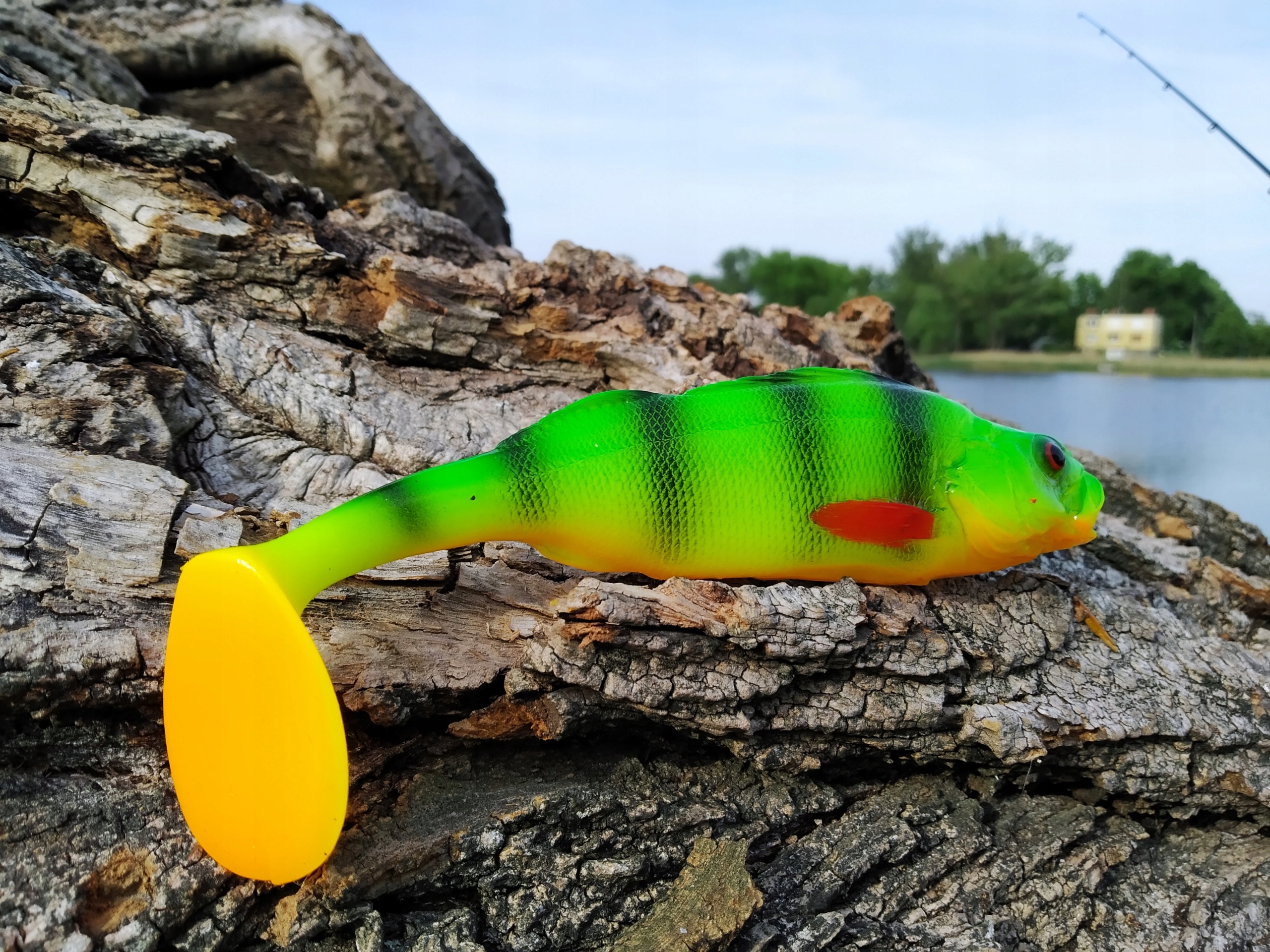 SEWRO CUSTOM OKOŃ seledyn I 18cm Kod producenta OKOŃ18