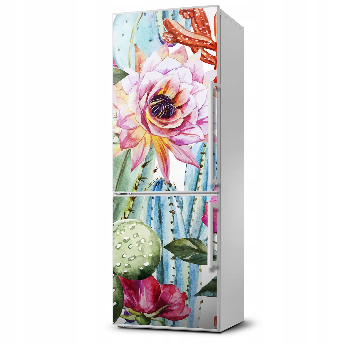 

Magnes fototapety na lodówkę Kaktusy 60x180