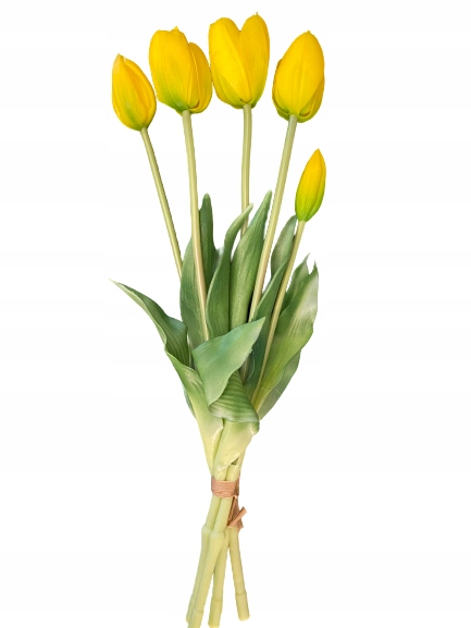 

Tulipan Tulipany Silikonowe Bukiet gumowe