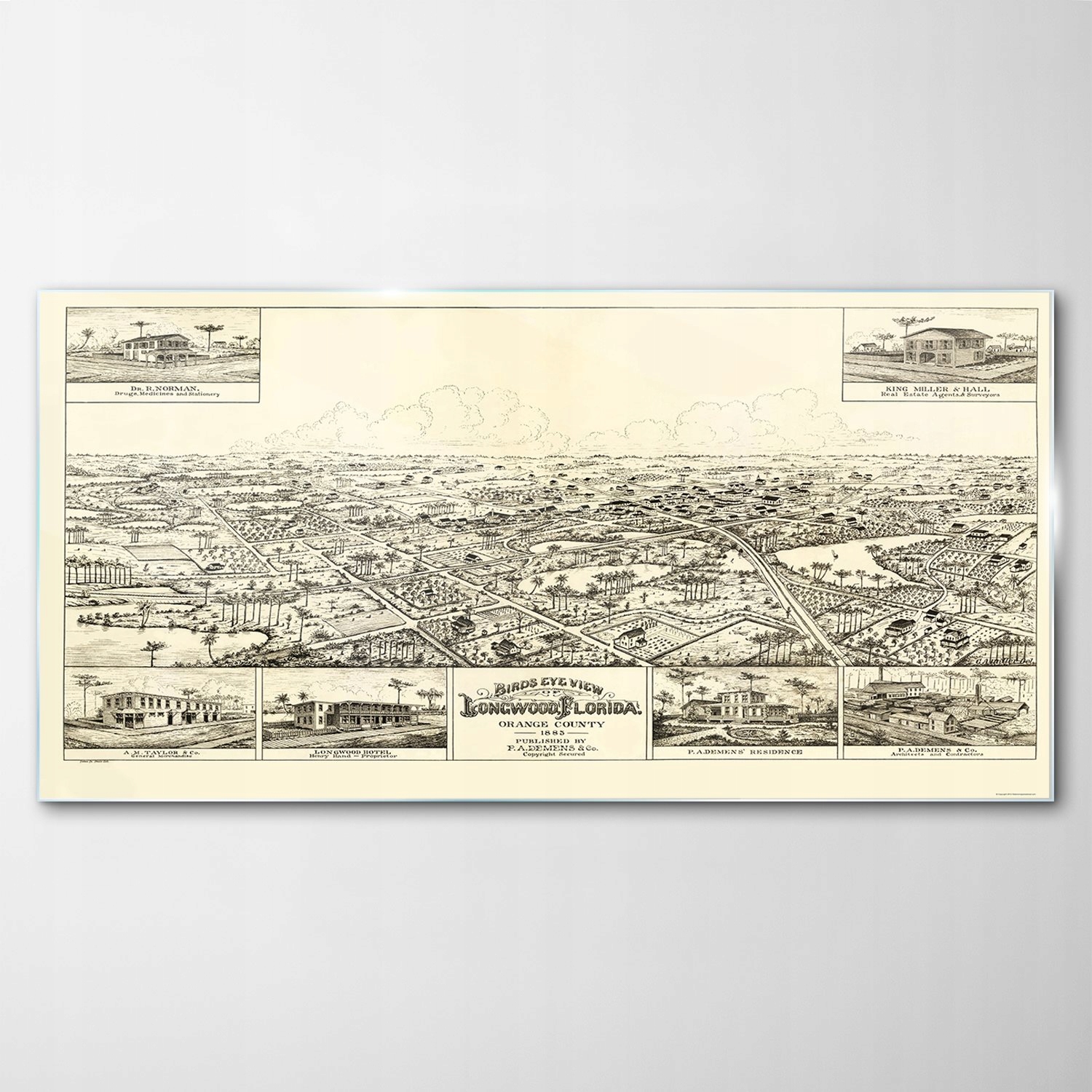 

Hartowany Obraz Szklany Longwood Floryda 120x60