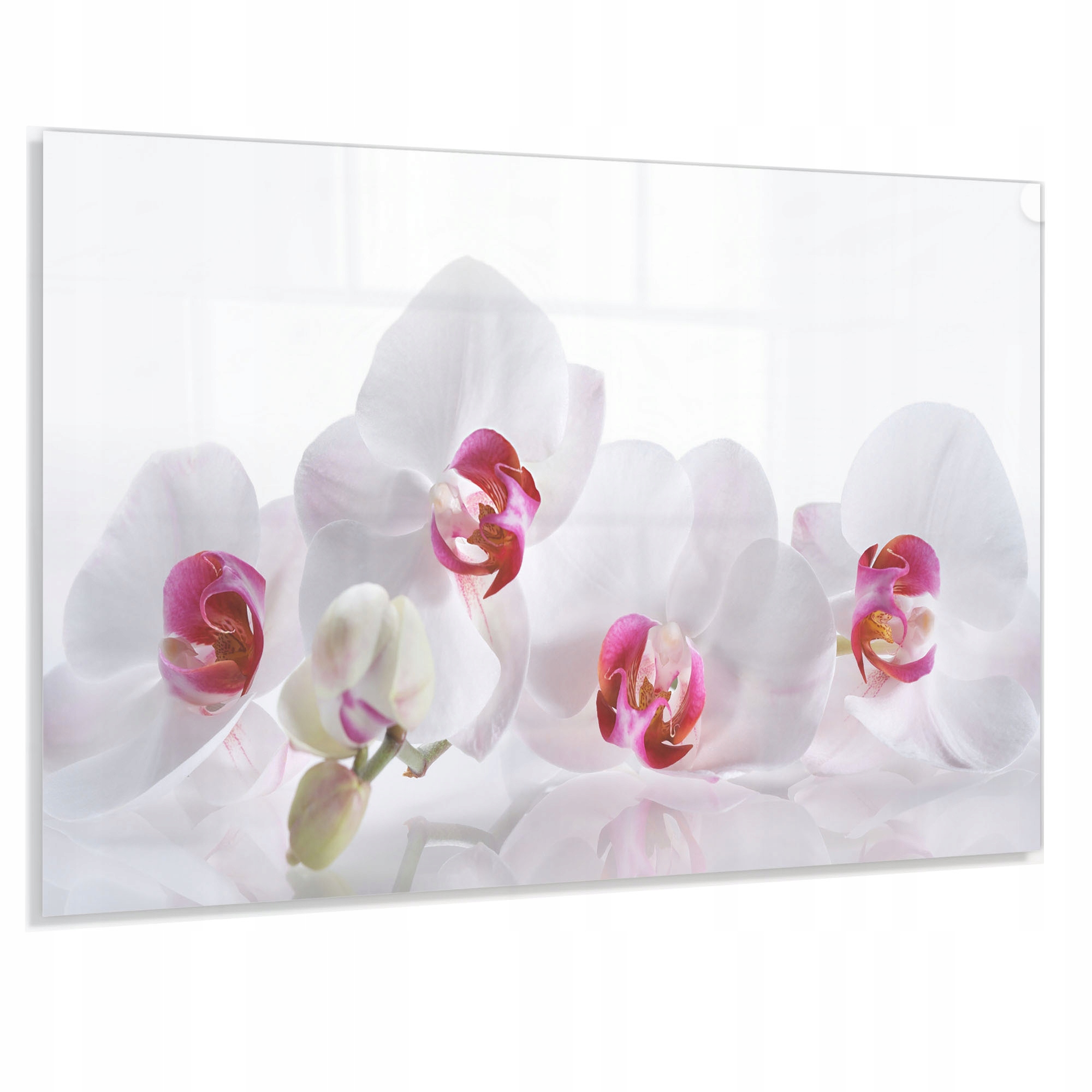 Hartowany Panel do Kuchni 90x70 + Gratis