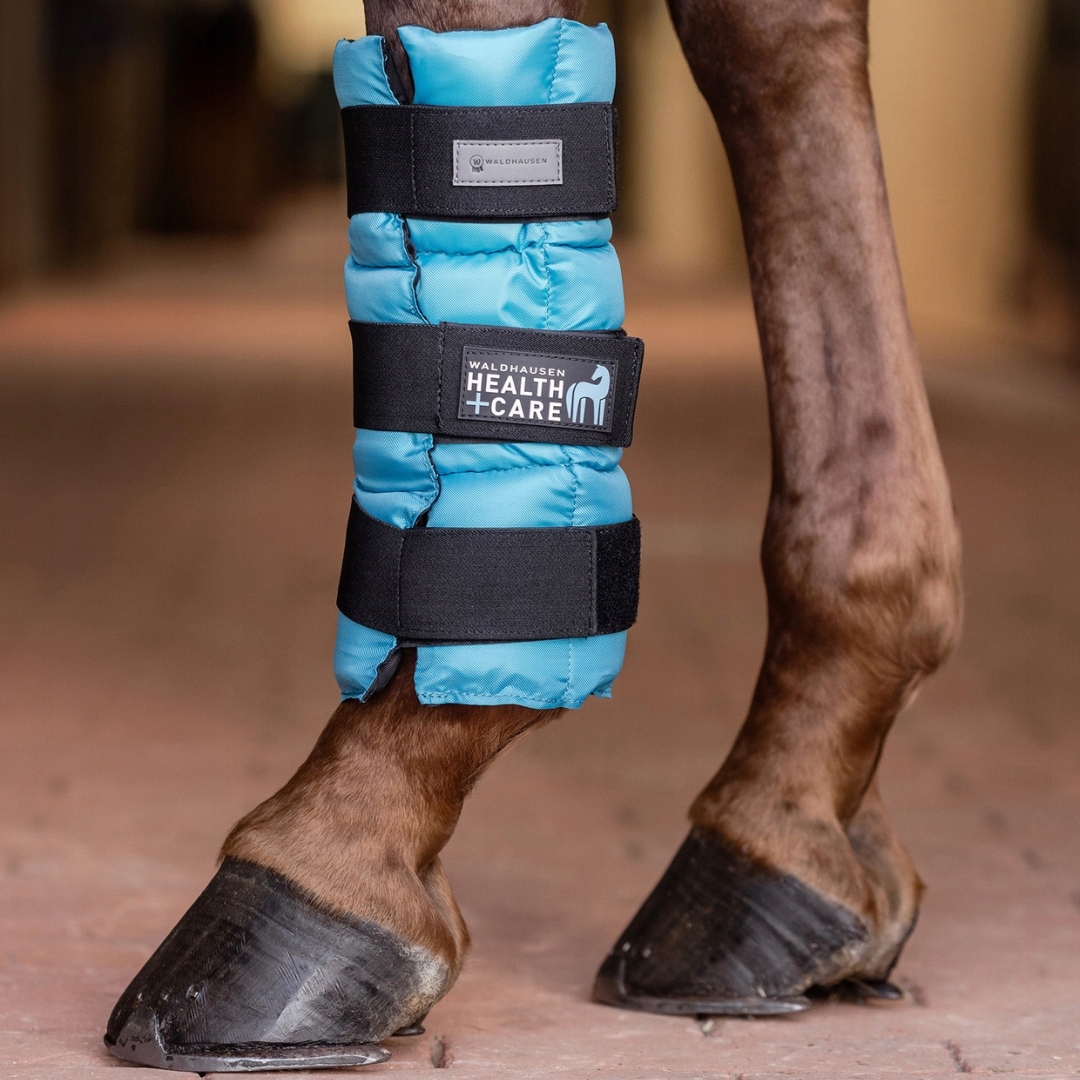 Obal chladicího chrániče pro koně Health Care Waldhausen Cob