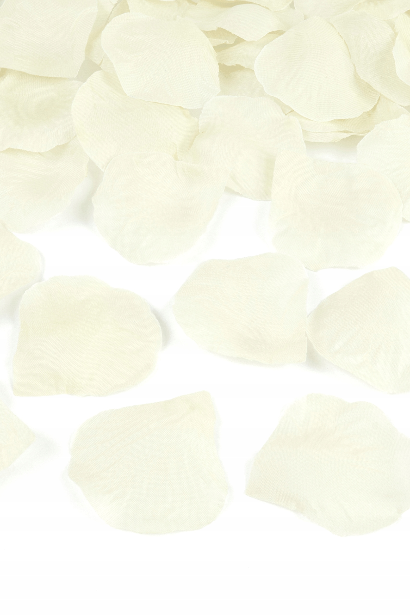 Туба с лепестками роз крем 60 см шт