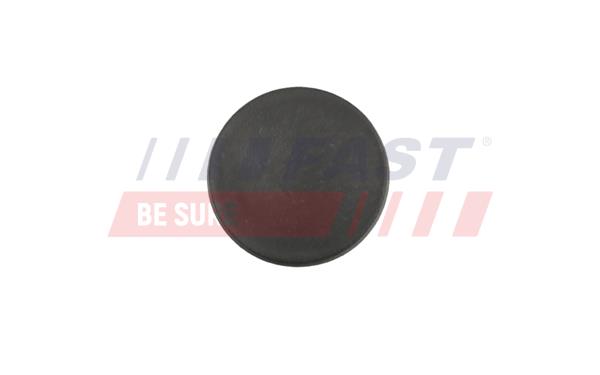 корпус Двери Fast FT96904
