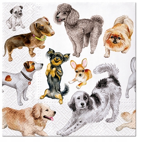 

Serwetki papierowe Paw Pieski 33x33 CM