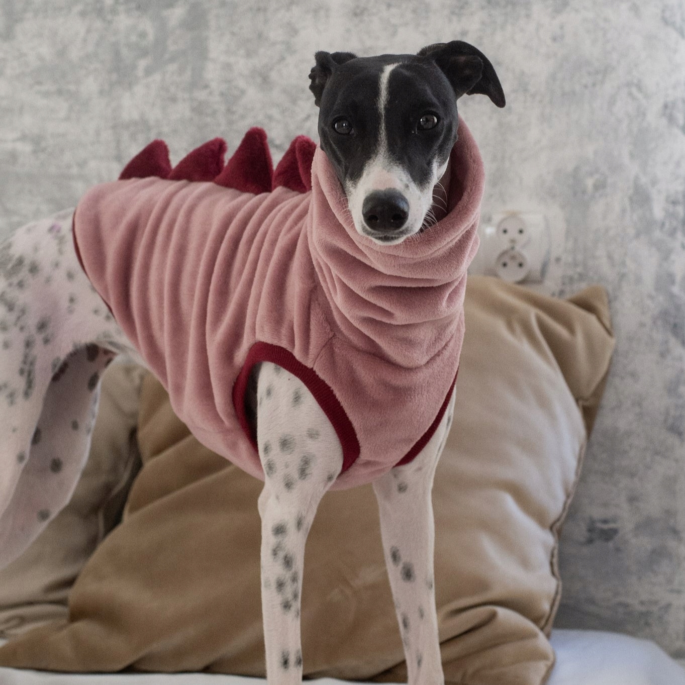 Levně Oblečení pro Whippeta Dino bez rukávů