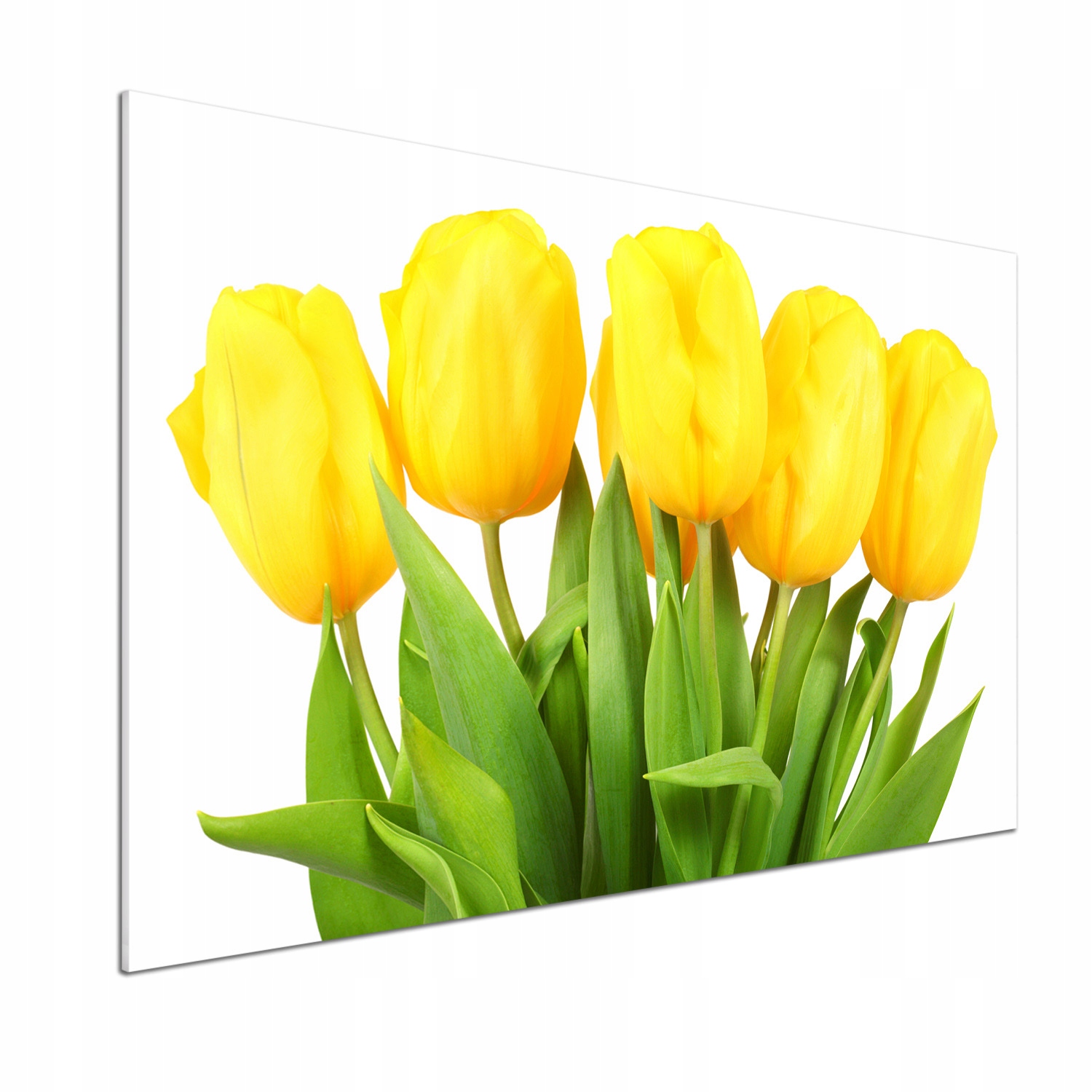 Panel do kuchyne Žlté tulipány 100 x 70 cm Lepidlo