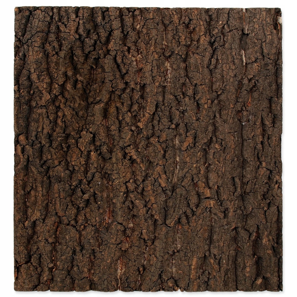 Levně Pozadí Repti Planet korek přírodní 43,5x41x2cm